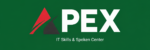 Apex IT Skills and Spoken Courses Logo